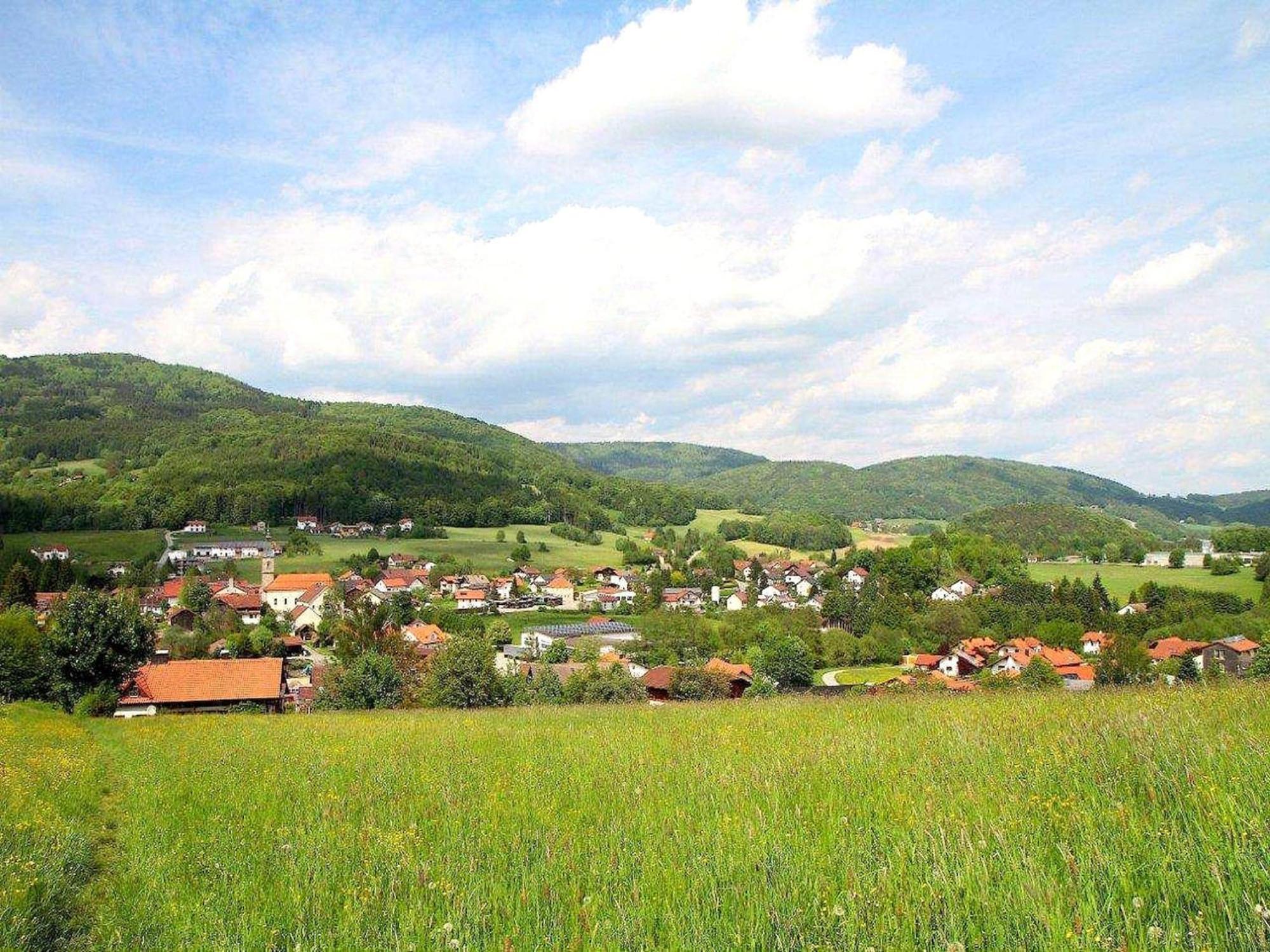 Comfortable In In Lower Bavaria Apartment *